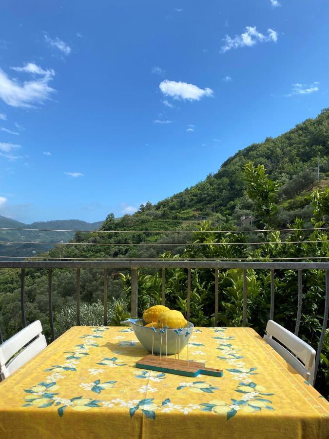 Le Case Della Lizza - Casa Gialla Levanto Luaran gambar